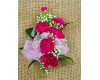 Corsage - Six Bloom Mini Carnation